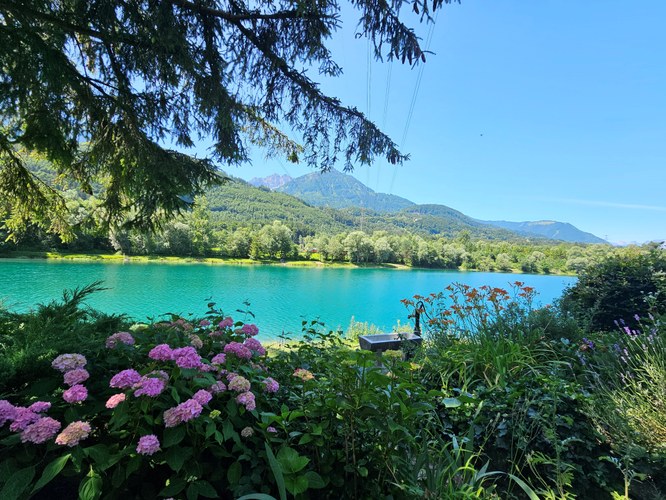 FV Blumenegg (3).jpg